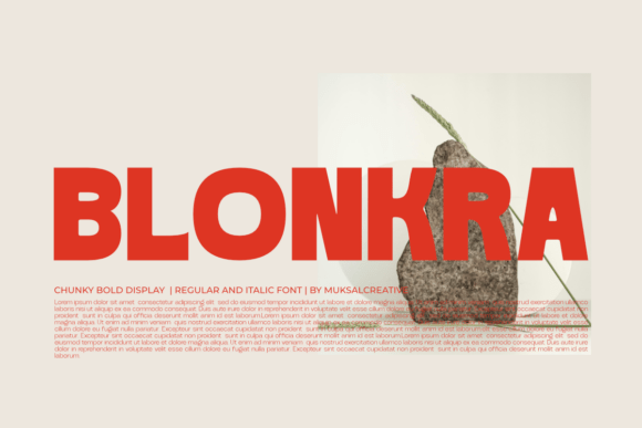 Blonkra: The Chunky Display Sans Serif That Makes Campaign Headlines Pop