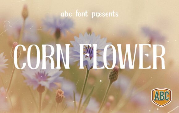 Corn Flower Font: A Tall Serif for Brands That Want to Stand Out