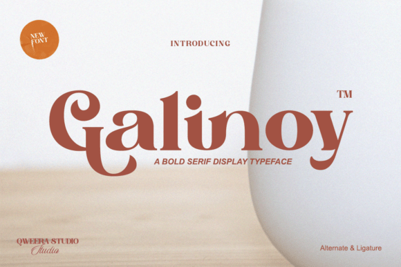 Galinoy A Bold Display Typeface for Modern Web Designers